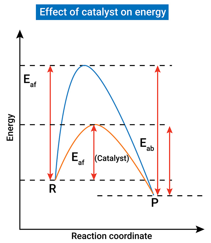 Catalyst Energy Chart