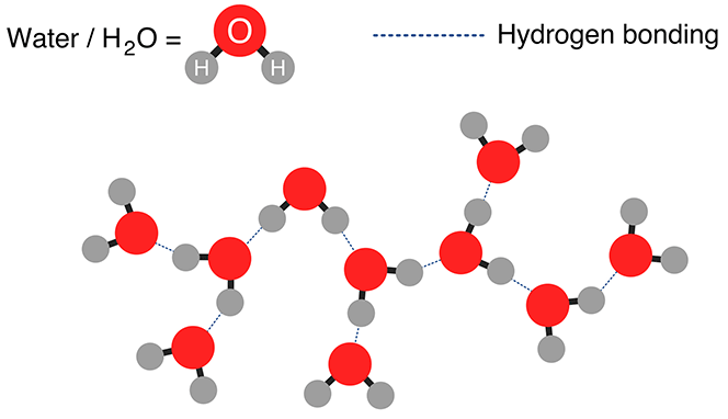 Hydrogen Bonding Hydrogen Bonding