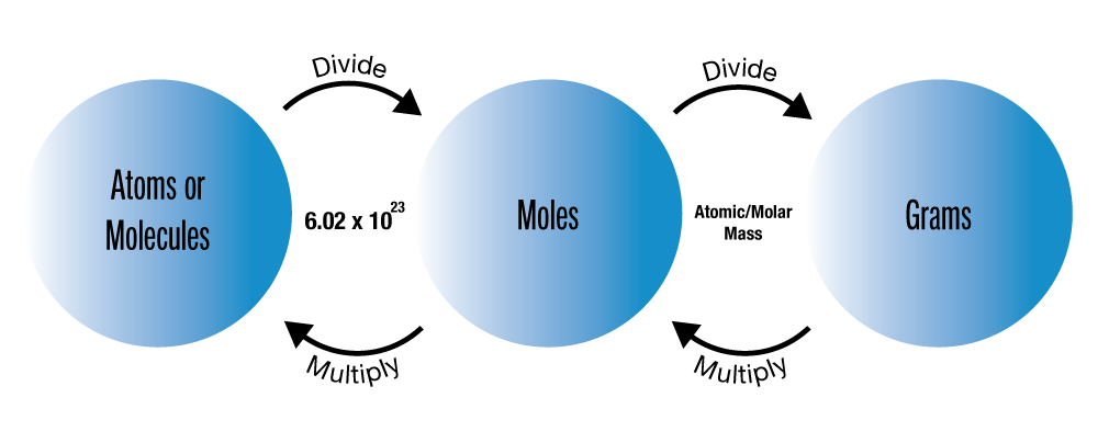 Moles Concept Circles Moles Concept Circles