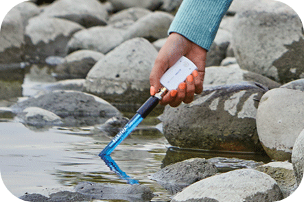 pH Probe in Use